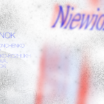 Niewidzialni - A. Hiranok