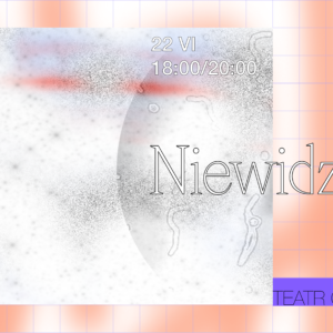 Niewidzialni - A. Hiranok