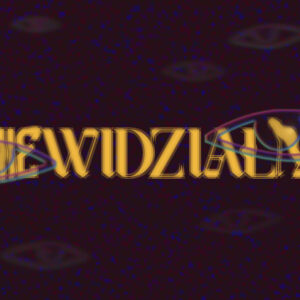 NIEWIDZIALNI